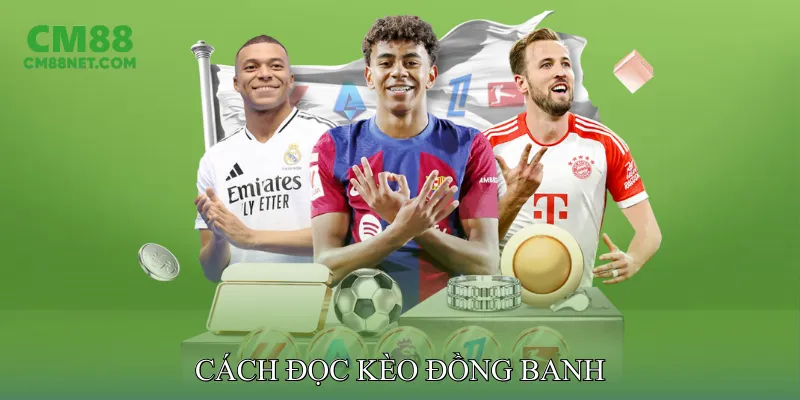 Kèo Đồng Banh Giúp Phân Tích Trận Đấu Chính Xác, Tỷ Lệ Cao Cách Đọc Kèo Đồng Banh Trong Bảng Tỷ Lệ Cược