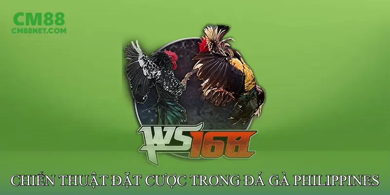 Chiến Thuật Đặt Cược Thông Minh Trong Đá Gà Philippines