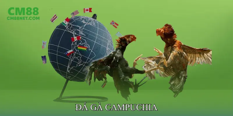 Đá Gà Campuchia Trải Nghiệm Cá Cược Trực Tuyến Kịch Tính Đá Gà Campuchia