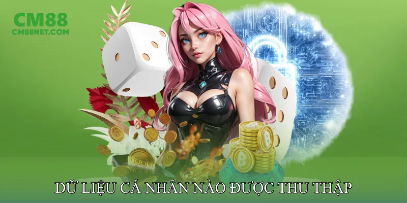 Chính Sách Bảo Mật Dữ Liệu Cá Nhân Nào Được Thu Thập