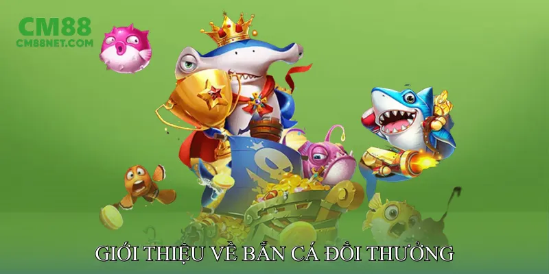 Giới thiệu về bắn cá đổi thưởng