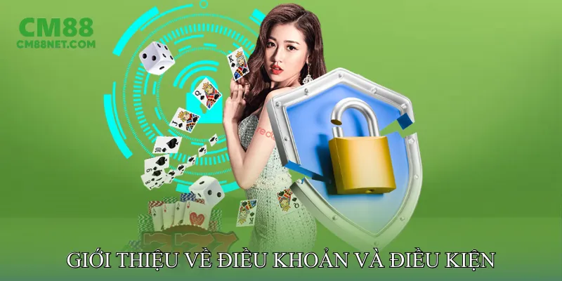 Giới thiệu về Điều khoản và điều kiện