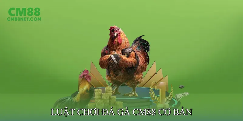 Luật Chơi Đá Gà CM88 Cơ Bản